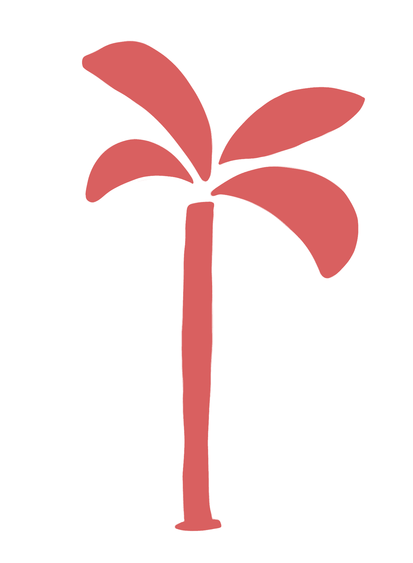 Decorative Palm